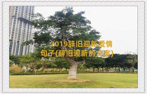 2019辞旧迎新爱情句子(辞旧迎新的文案)