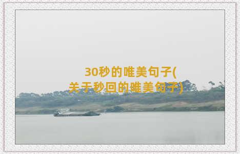 30秒的唯美句子(关于秒回的唯美句子)