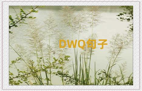 DWQ句子