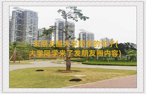 发朋友圈大学同学的句子(大学同学来了发朋友圈内容)