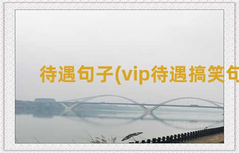 待遇句子(vip待遇搞笑句子)