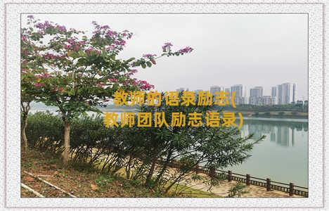 教师的语录励志(教师团队励志语录)