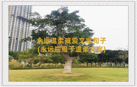 永远温柔被爱文案句子(永远屈服于温柔文案)