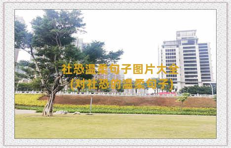 社恐温柔句子图片大全(对社恐的温柔句子)