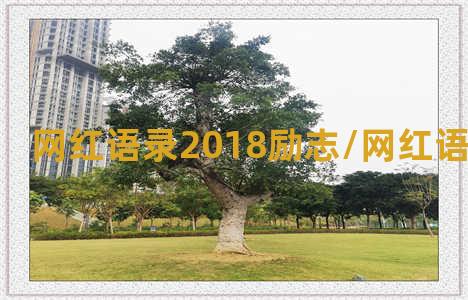 网红语录2018励志/网红语录2018励志