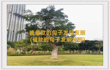 被催款的句子发朋友圈(催款的句子发朋友圈)